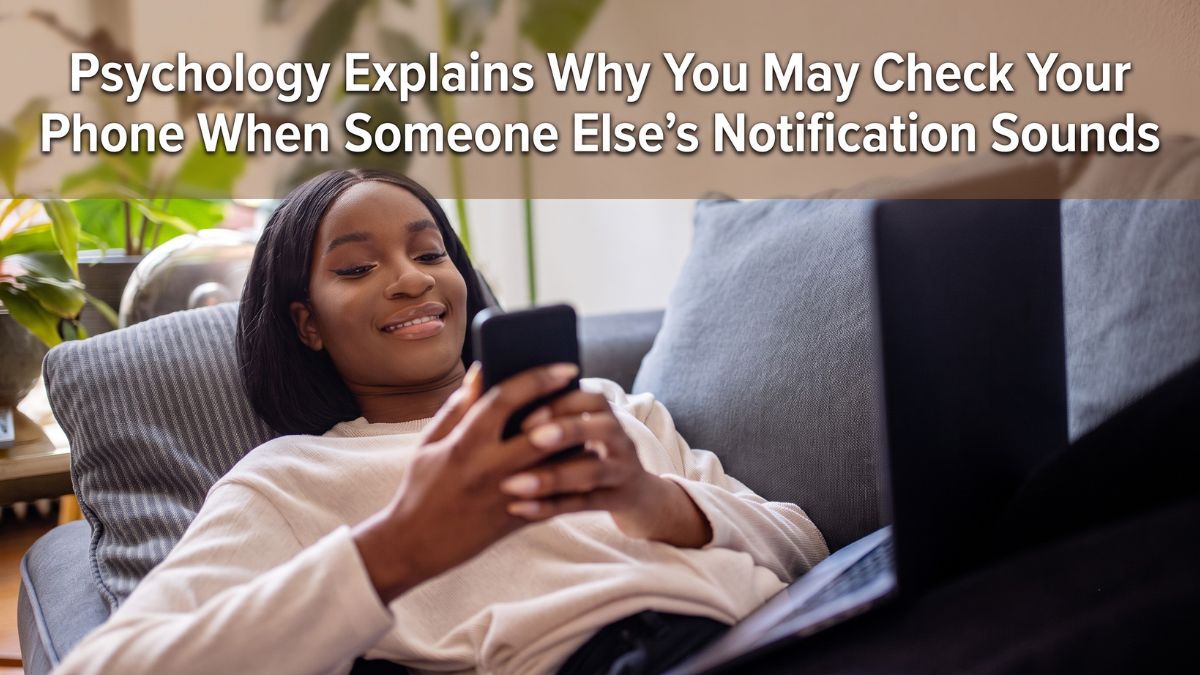 Notification