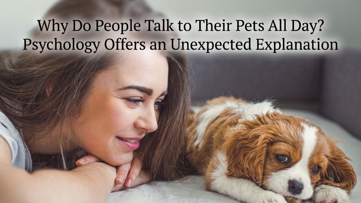 Pets